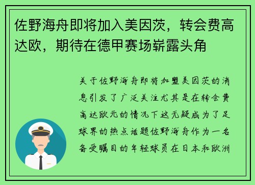 佐野海舟即将加入美因茨，转会费高达欧，期待在德甲赛场崭露头角