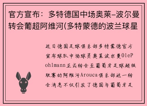 官方宣布：多特德国中场奥莱-波尔曼转会葡超阿维河(多特蒙德的波兰球星)