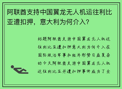 阿联酋支持中国翼龙无人机运往利比亚遭扣押，意大利为何介入？