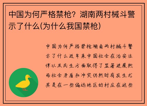 中国为何严格禁枪？湖南两村械斗警示了什么(为什么我国禁枪)