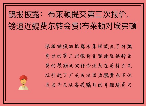 镜报披露：布莱顿提交第三次报价，镑逼近魏费尔转会费(布莱顿对埃弗顿比分预测)