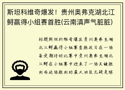 斯坦科维奇爆发！贵州奥弗克湖北江鲟赢得小组赛首胜(云南滇声气脏脏)