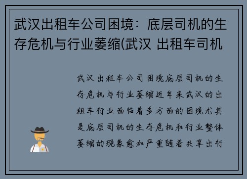 武汉出租车公司困境：底层司机的生存危机与行业萎缩(武汉 出租车司机)