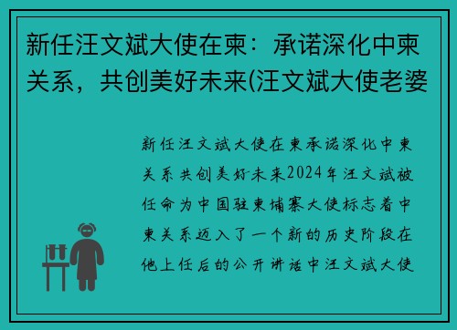 新任汪文斌大使在柬：承诺深化中柬关系，共创美好未来(汪文斌大使老婆)